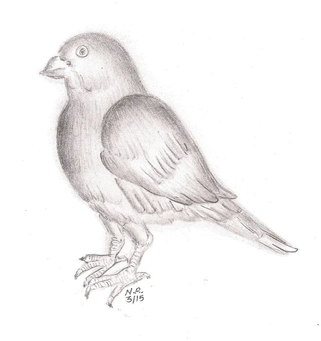 Drawing I